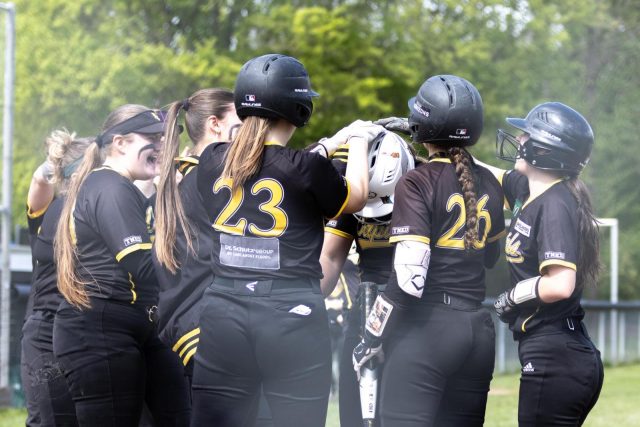 Softball Verbandsliga – spannender Split gegen die Cologne Cardinals